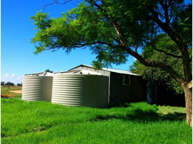 1 Conargo Road, Deniliquin NSW 2710