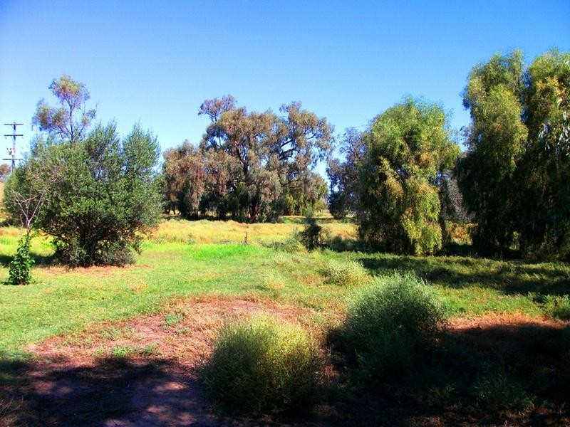 1 Conargo Road, Deniliquin NSW 2710