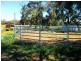 1 Conargo Road, Deniliquin NSW 2710