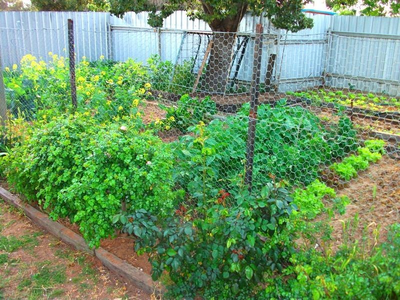 35 La Perouse, Wakool NSW 2710