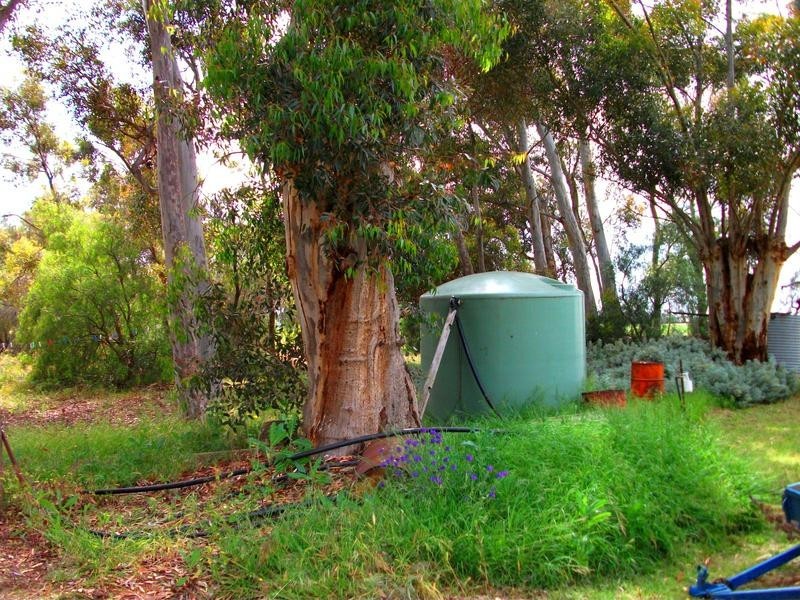 2 Moonie Swamp Road, Deniliquin NSW 2710