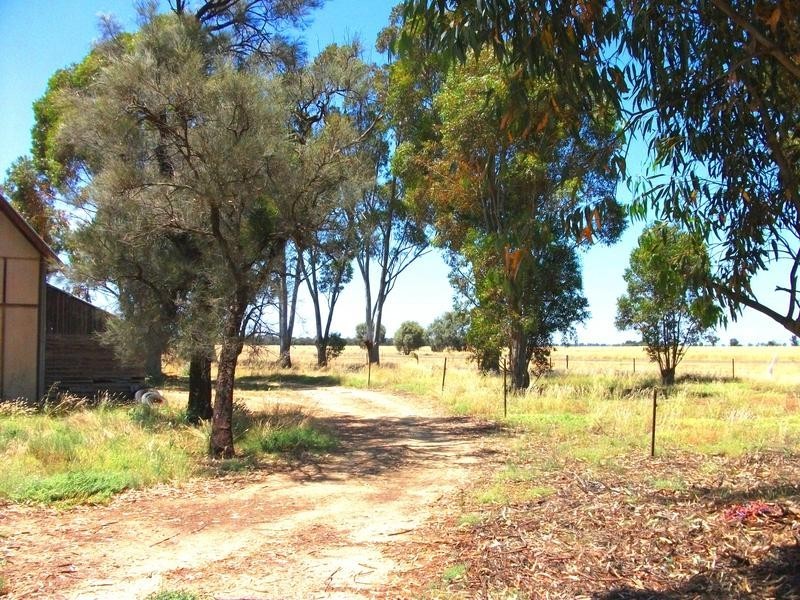 2 Moonie Swamp Road, Deniliquin NSW 2710