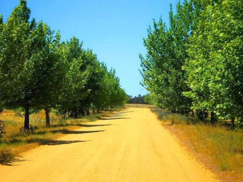 12 Mulumbah Estate, Deniliquin NSW 2710