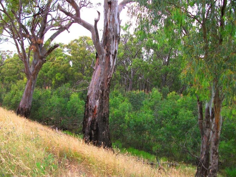 63 Wills Drive, Deniliquin NSW 2710