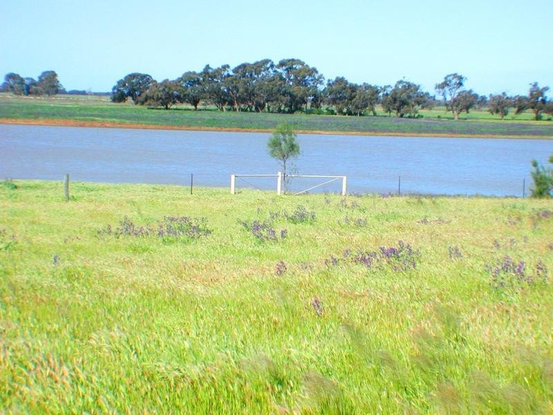 16 Mulmbah Estate, Deniliquin NSW 2710