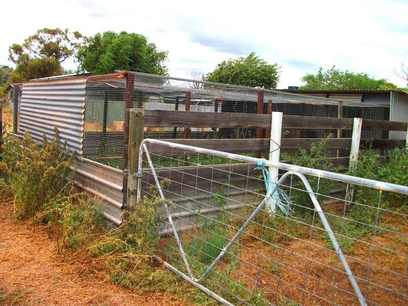 5 Augustus, Deniliquin NSW 2710