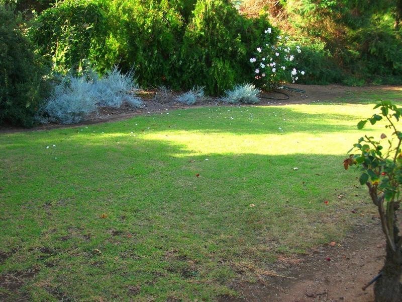 19 Cook, Wakool NSW 2710