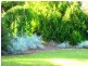 19 Cook, Wakool NSW 2710