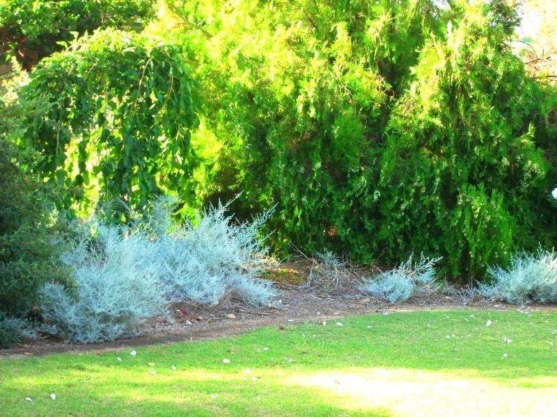 19 Cook, Wakool NSW 2710