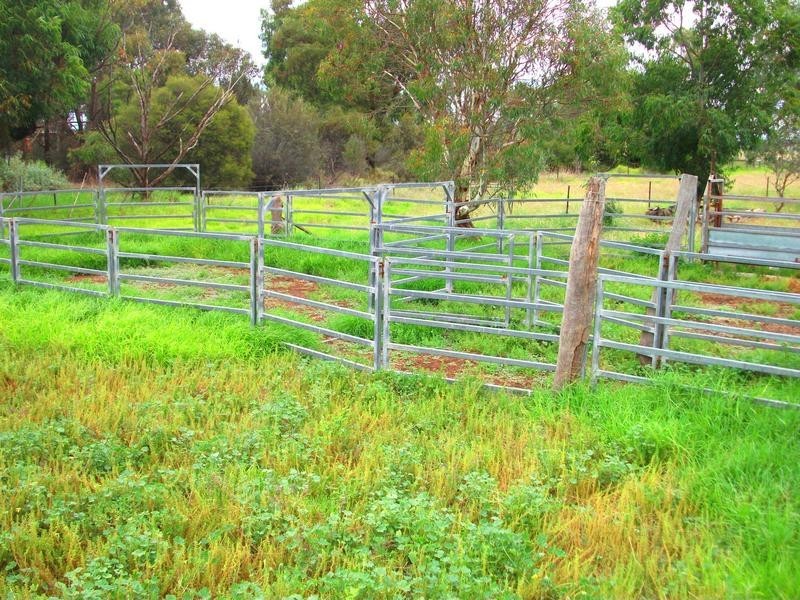 96 Warragoon, Warragoon NSW 2710