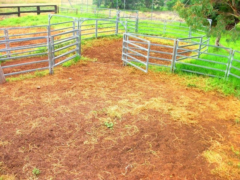 96 Warragoon, Warragoon NSW 2710