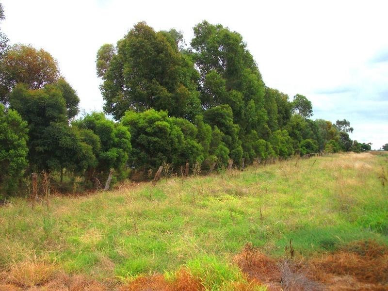 96 Warragoon, Warragoon NSW 2710