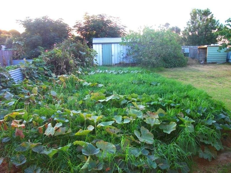 34 Dampier Street, Wakool NSW 2710