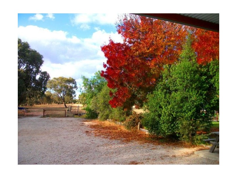 216 Dahwilly, Deniliquin NSW 2710