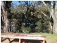 7 Achidna way, Conargo NSW 2710