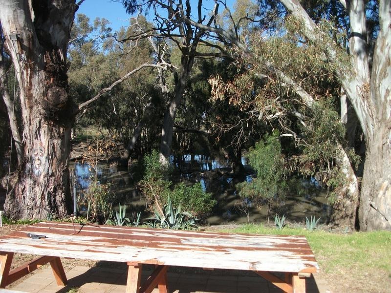 7 Achidna way, Conargo NSW 2710