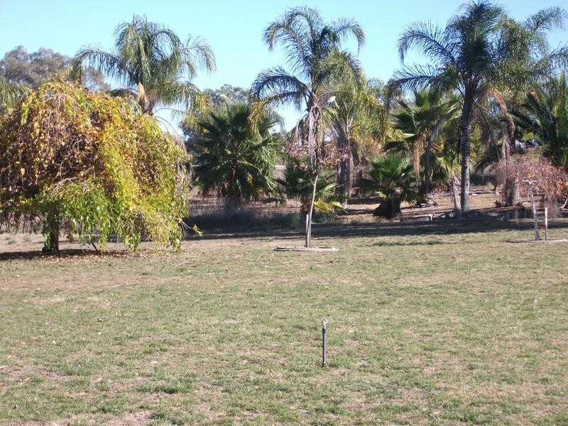 7 Achidna way, Conargo NSW 2710