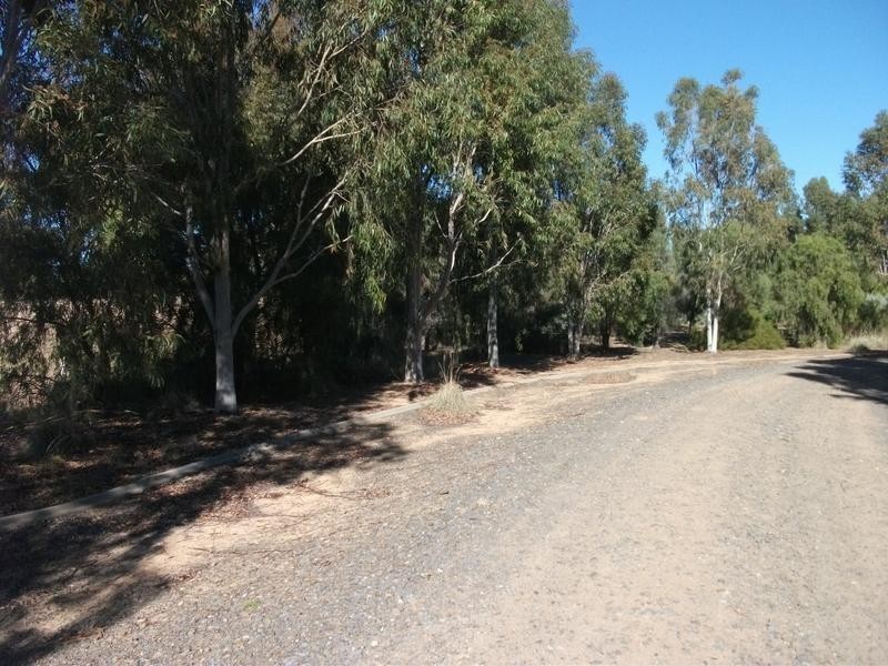 7 Achidna way, Conargo NSW 2710