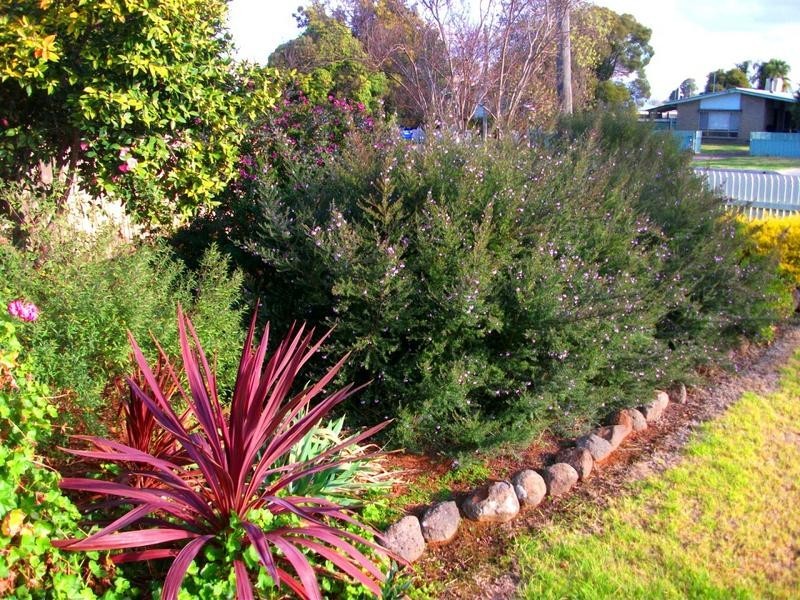 453 Wood Street, Deniliquin NSW 2710