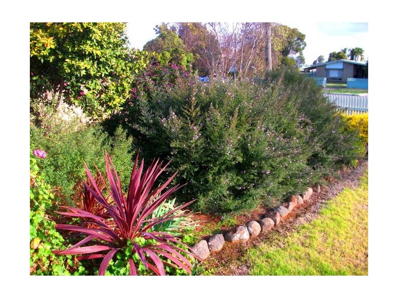 453 Wood Street, Deniliquin NSW 2710