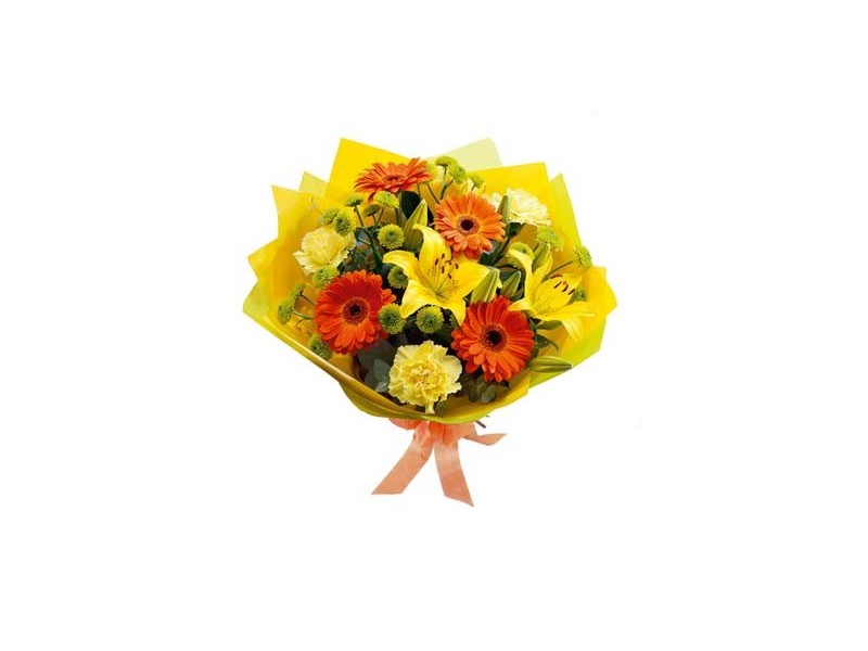 47 Napier, Deniliquin NSW 2710