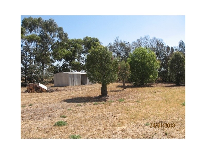 282 Cobram Road, Berrigan NSW 2712