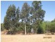 282 Cobram Road, Berrigan NSW 2712