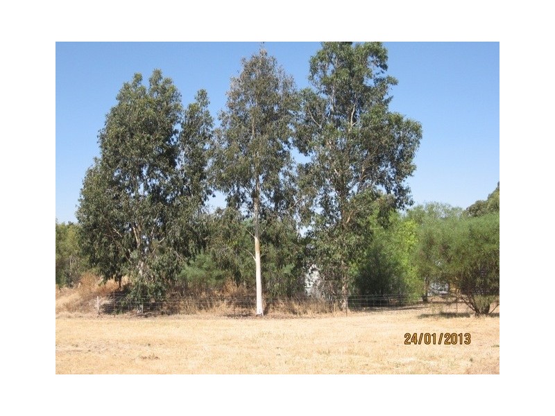 282 Cobram Road, Berrigan NSW 2712