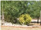 282 Cobram Road, Berrigan NSW 2712