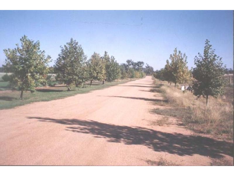 Deniliquin NSW 2710