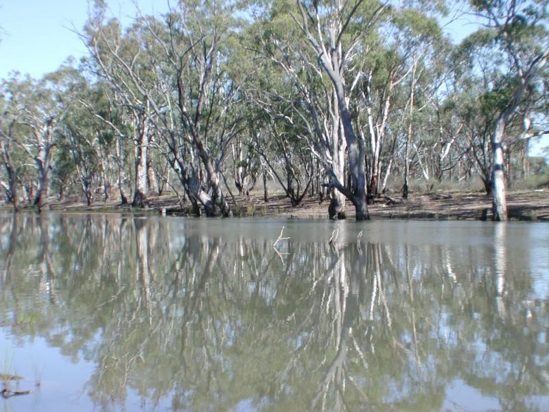 Balshaw Rathbone Road, Wakool NSW 2710