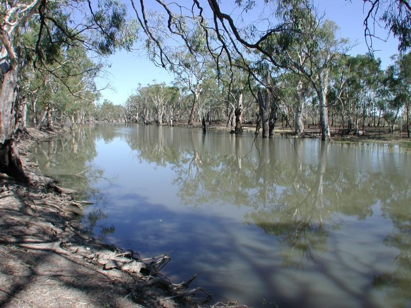 Balshaw Rathbone Road, Wakool NSW 2710