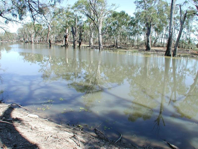 Balshaw Rathbone Road, Wakool NSW 2710