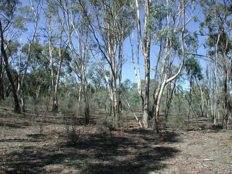 Balshaw Rathbone Road, Wakool NSW 2710