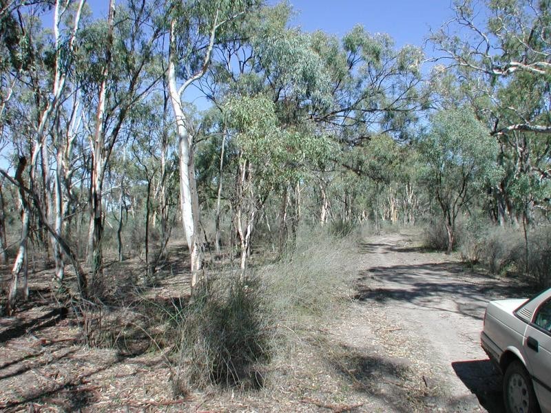 Balshaw Rathbone Road, Wakool NSW 2710