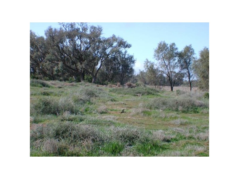 Avoca Rive James Rd, Kerang VIC 3579