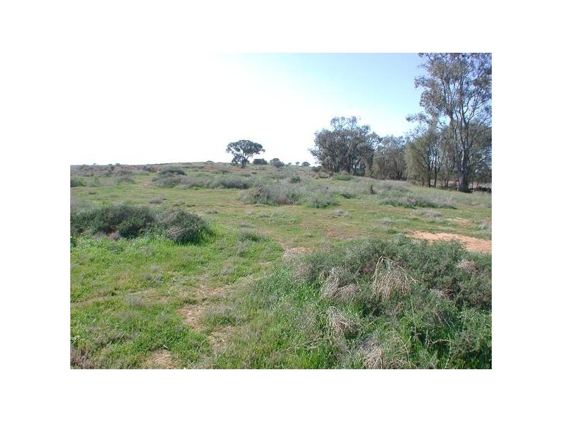 Avoca Rive James Rd, Kerang VIC 3579