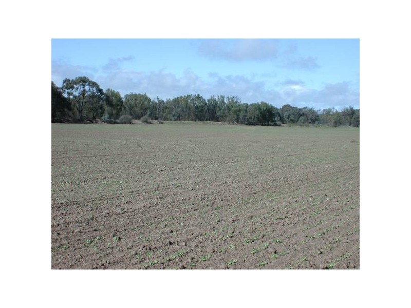 Avoca Rive James Rd, Kerang VIC 3579