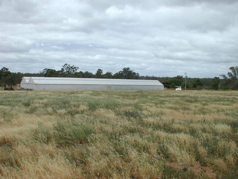 Woodoona Cobb Highway, Deniliquin NSW 2710