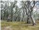 Woodoona Cobb Highway, Deniliquin NSW 2710