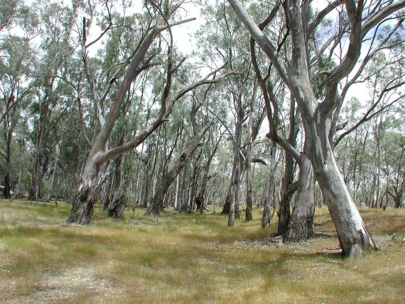 Woodoona Cobb Highway, Deniliquin NSW 2710