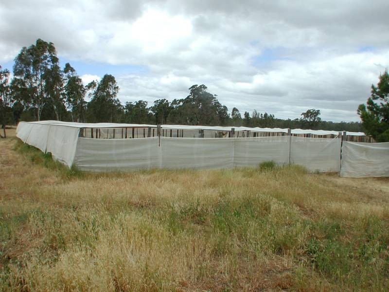 Woodoona Cobb Highway, Deniliquin NSW 2710