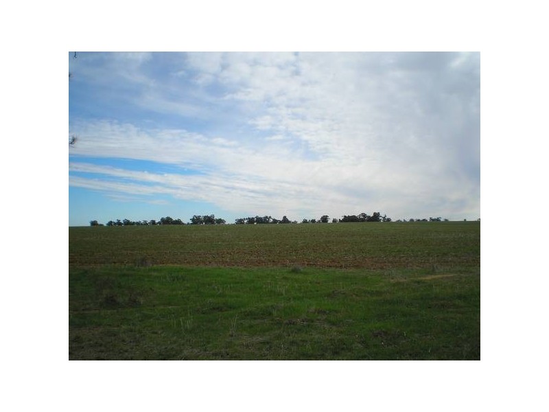 *00 Cobb Highway, Deniliquin NSW 2710