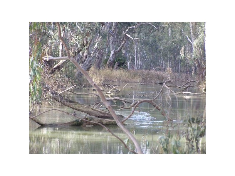 1 Moama Street, Mathoura NSW 2710