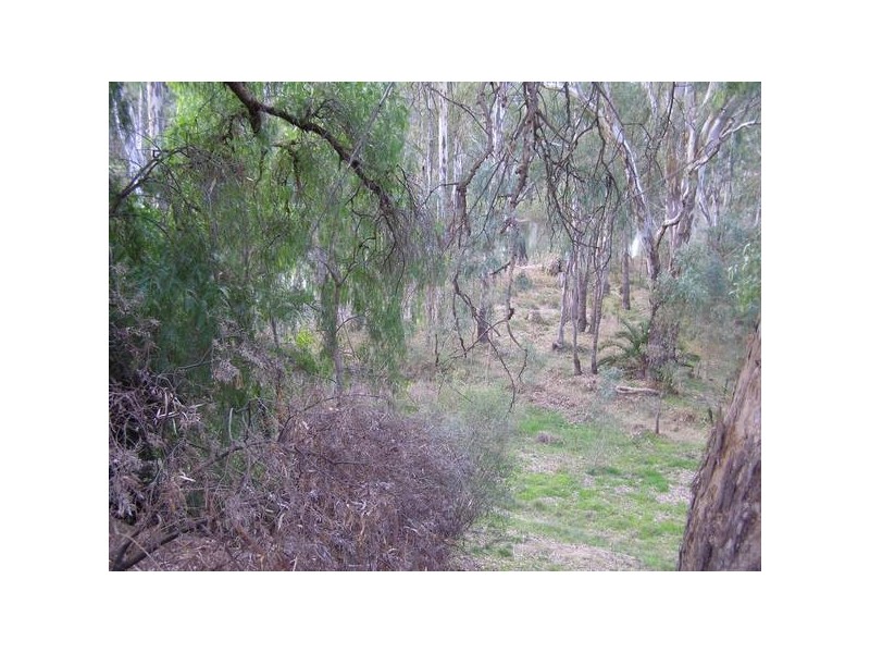 1 Moama Street, Mathoura NSW 2710