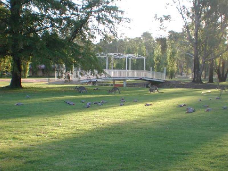 Tarragon Lodge, Picnic Point, Mathoura NSW 2710 the real estate