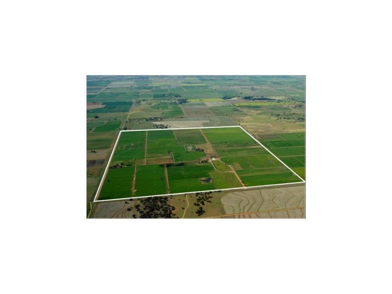 Wyoming Campbells Road, Deniliquin NSW 2710