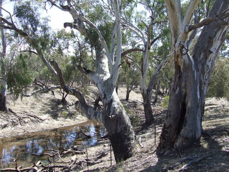 Lot 55 & 57,  Lower Tocumwal Road, Deniliquin NSW 2710