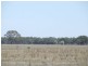 Lot 55 & 57,  Lower Tocumwal Road, Deniliquin NSW 2710