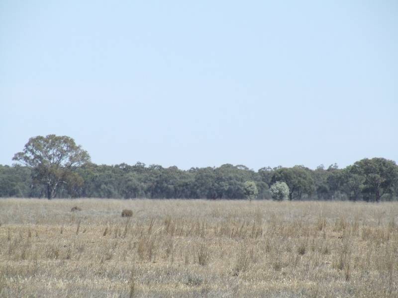 Lot 55 & 57,  Lower Tocumwal Road, Deniliquin NSW 2710
